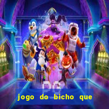 jogo do bicho que paga no pix